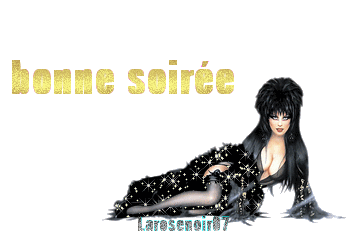 Bonne soirée
