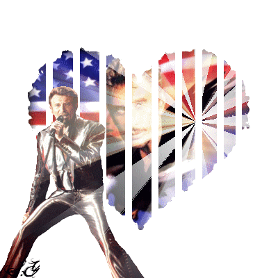 johnny hallyday