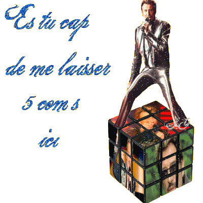 johnny hallyday