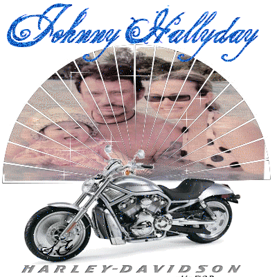 johnny hallyday