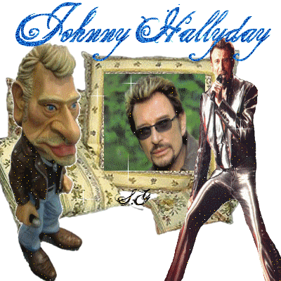 johnny hallyday